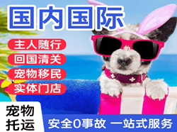 汉中城固航空货运国际宠物托运 【国